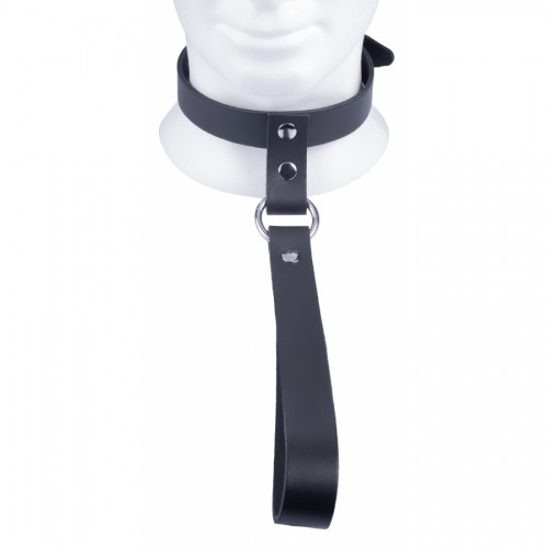 The Red Leather Collar with Short Leash