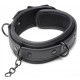 Master Series Collared Temptress Master Series Collared Temptress