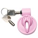 Master Series Pussification Vulva Chasity Cage Master Series Pussification Vulva Chasity Cage
