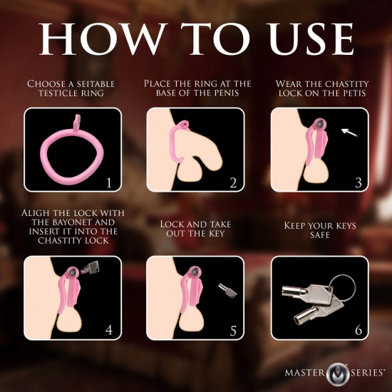 Master Series Pussification Vulva Chasity Cage Master Series Pussification Vulva Chasity Cage