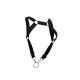 Male Basics Dngeon Straight Back Harness With Cock Ring Male Basics Dngeon Straight Back Harness With Cock Ring