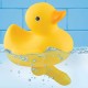Duck With A Dick Duck With A Dick