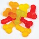 Fruit Flavoured Jelly Willies Fruit Flavoured Jelly Willies