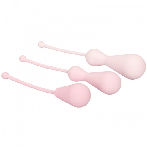 Inspire Weighted Silicone Kegel Training Kit