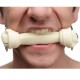 Master Series Silicone Dog Bone Gag Master Series Silicone Dog Bone Gag